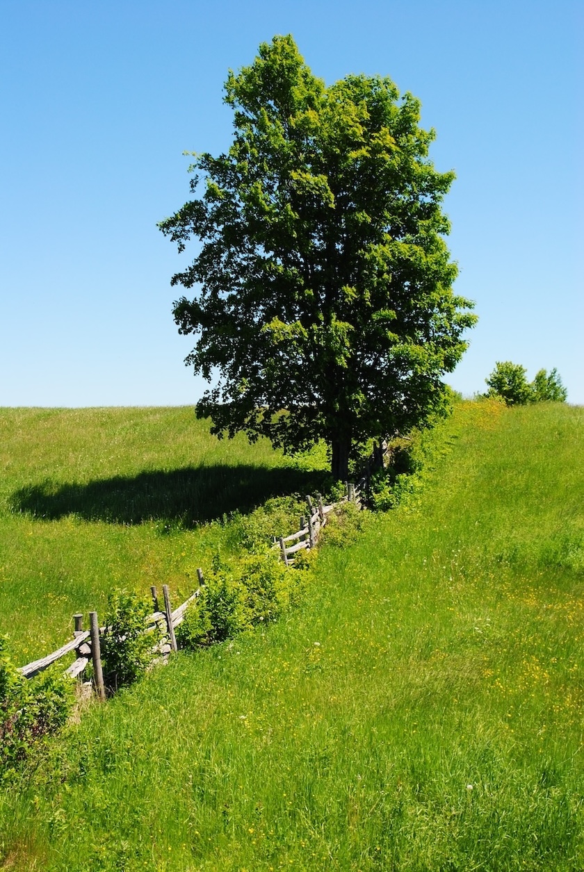 Paysage de la région