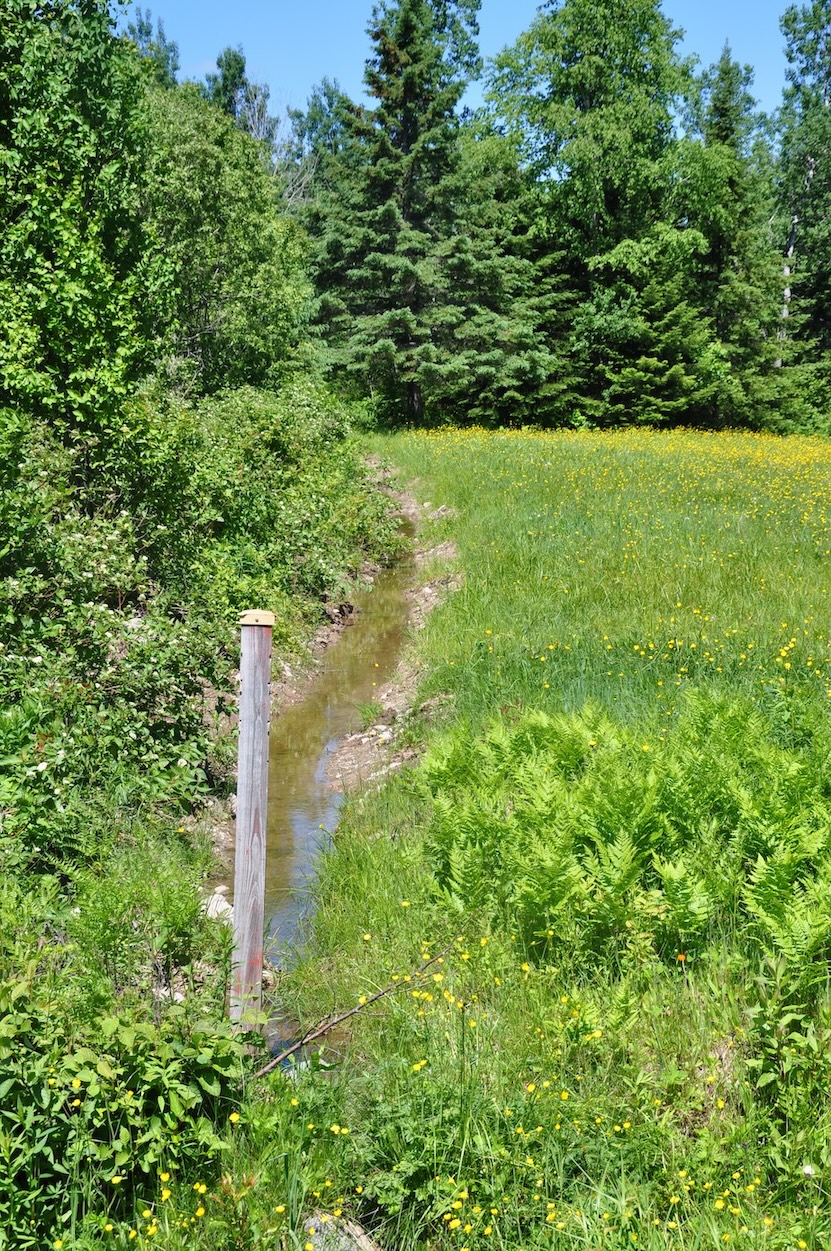 Paysage de la région