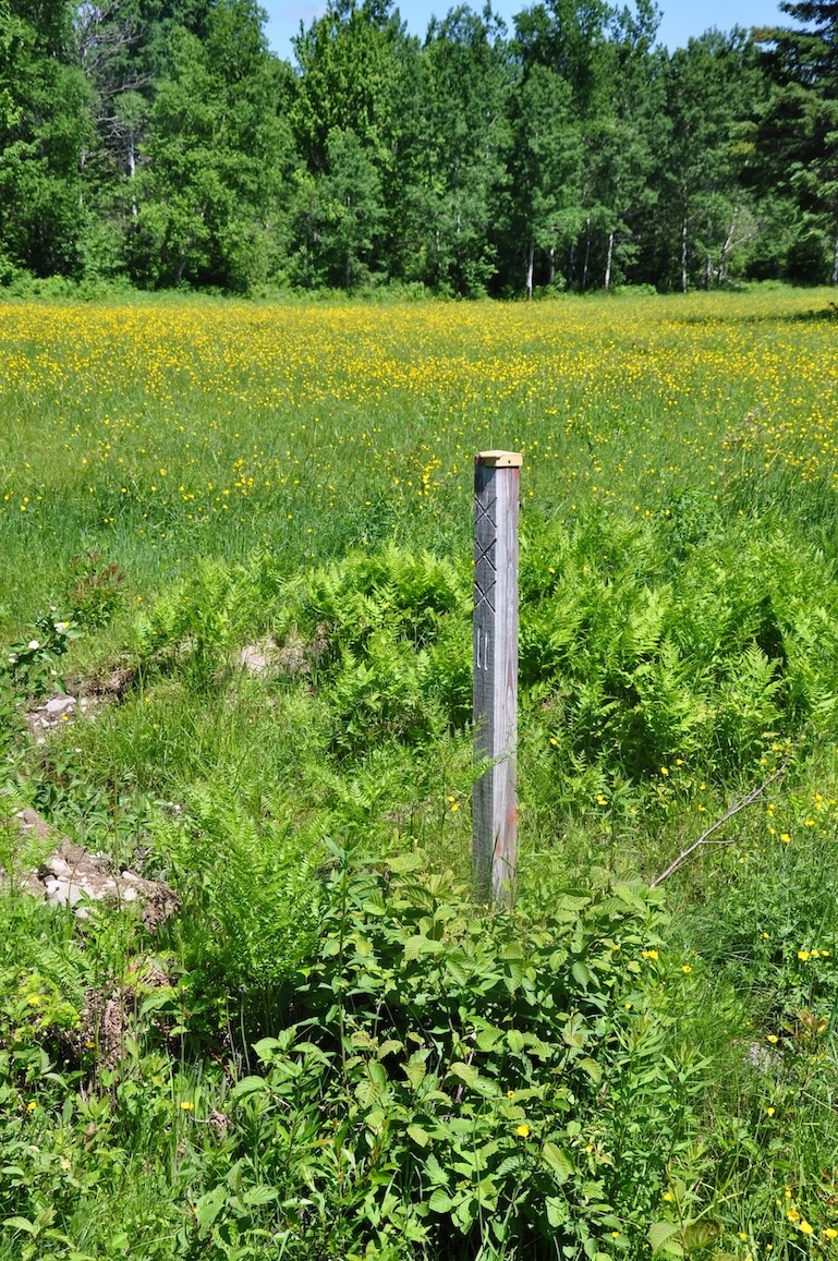 Paysage de la région